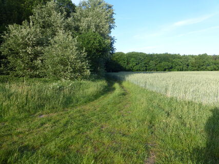 Wandertour "Op'n Land" (Auf dem Land)