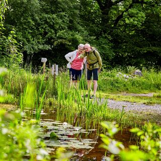 Naturlehrgebiet Buchwald Ettiswil