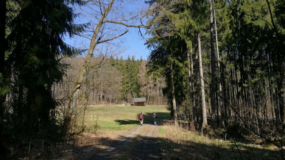 Wandern rund um Harra und Mühlberg