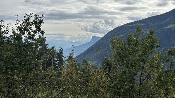 Fotó a Sibylle Teichmann honlapról a túra során