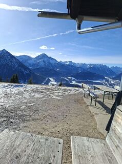 Foto de gottie a lo largo del recorrido