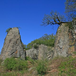 Stenzelberg-Umlaeufer