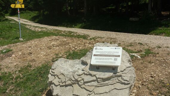 Geo.Weg Achensee - Spannendes über Gesteine, Fossilien und die Entstehung der Landschaft entdecken.
