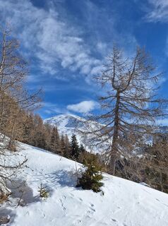 Foto de Dagmar Hofer a lo largo del recorrido