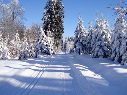 Skilanglauf im Schmallenberger Sauerland