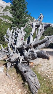 Foto von Stefan TAFERNER entlang der Tour
