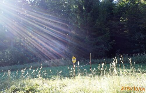 oberhalb dem Lamwegtal