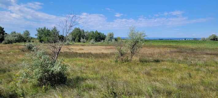 Fotografija s spletne strani Nicky na poti