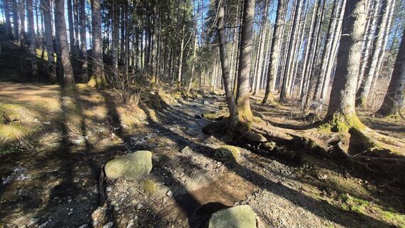 Foto von Karin Preghenella entlang der Tour