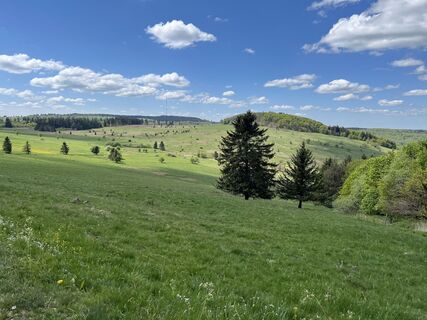 Fotografia z Sebastian na trase