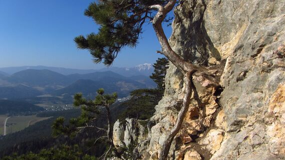 Gebirgsvereinssteig