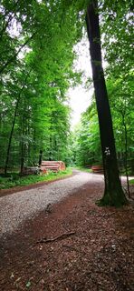 Foto von Klaus Lehner entlang der Tour