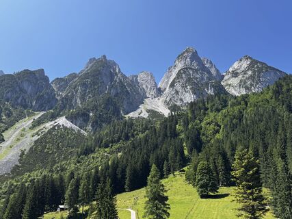 Fotografia z Friederike Steyrer na trase