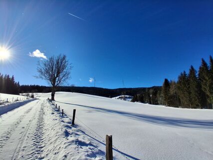 Foto von Zsolt Tovay entlang der Tour