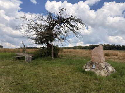 Photo de Dr. Rike Maurer le long du parcours