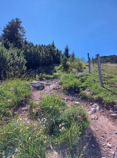 Photo de Tanja Trager le long du parcours