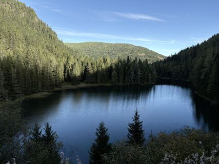 Fotografija s spletne strani Sáfrány Tamás na poti