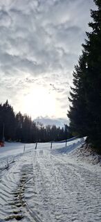 Foto von Gudrun Knorre entlang der Tour