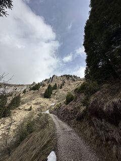 Fotografia z Giordano Ponte na trase