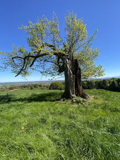 Photo de Sven Krieblin le long du parcours