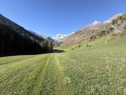 Fotografija s spletne strani André Koch na poti