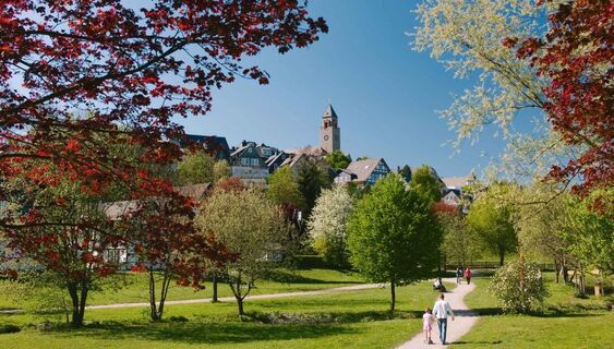 Kurpark in Schmallenberg