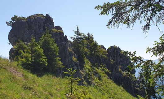 Photo de mike wm le long du parcours