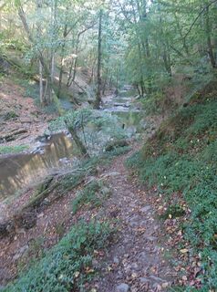 Foto från Albert Grittern under resans gång