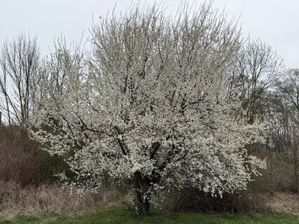 Foto von Norbert Herbig entlang der Tour