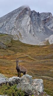 Foto von Fabrizi Mellano entlang der Tour