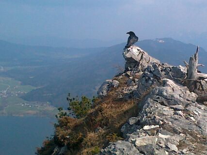 Drachenwand Klettersteig