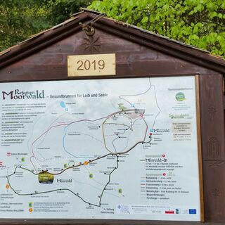 Übersichtstafel Start Erlebnisweg Moorwald