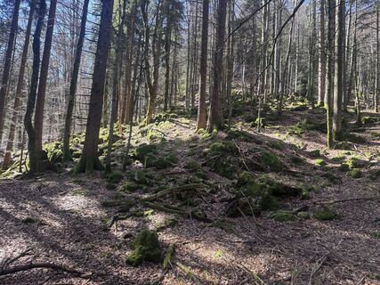 Foto von Florian Spießberger entlang der Tour