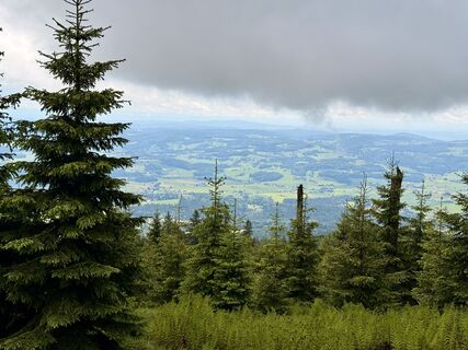 Fotografie z Natur_erleben_dg na trase