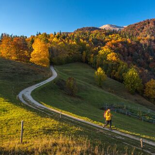 Wandern von der Hütte Sankaška koča zur Kirche St. Peter