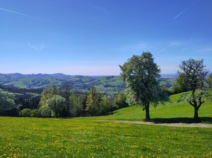 Fotografija s spletne strani Chr Lenz na poti