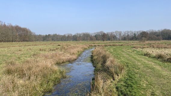 Photo de Otto Van Hooijdonk le long du parcours