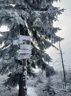 Foto de Daniel Kremiec a lo largo del recorrido