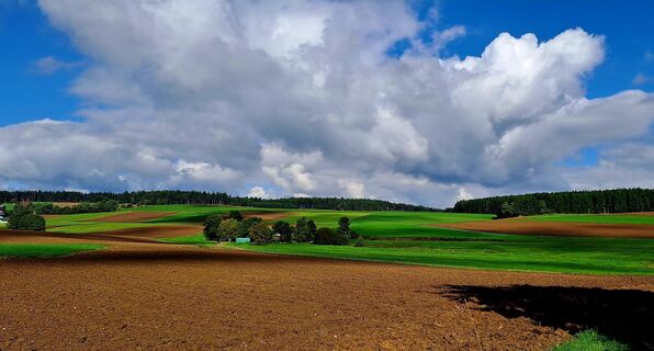 Foto von zirberl entlang der Tour