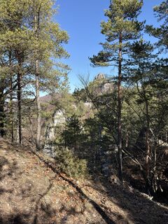 Fotografia z Tomas Neuman 1 na trase