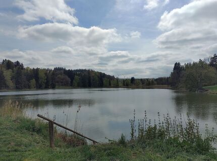 Photo de Karin Mayer-Rosenbohm le long du parcours