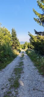 Fotografia z ReginaSt na trase