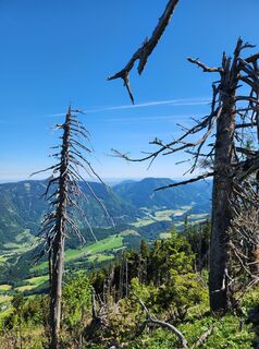 Foto von Petra Riegler entlang der Tour
