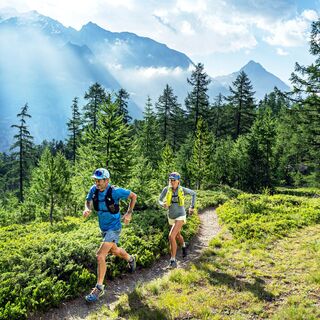 Unterwegs im Lärchenwald in Richtung Saas-Fee