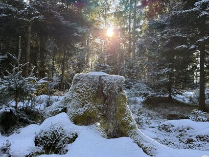 Fotografie de la Norbert Herbig de-a lungul turului