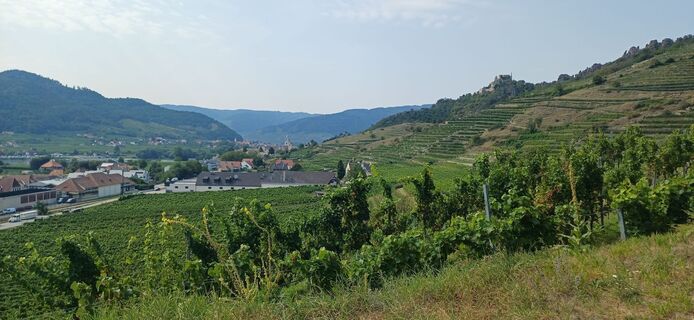 Fotografia z Ewald Reil 1 na trase