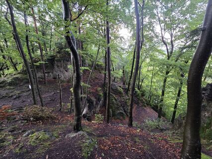 Fotografija s spletne strani Alexander Becker na poti