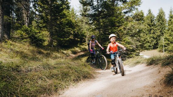Mountainbiken im Bikepark Katzenkopf