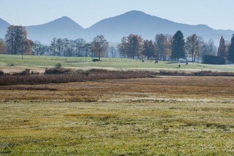Wanderung - Kirnberg-Rundweg - Blick in die Alpen