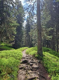 Fotografia z Greg+Lisa na trase